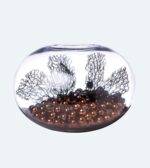 VASE BOL TRANSPARENT XLL