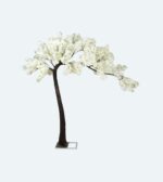 WHITE BLOSSOM TREE
