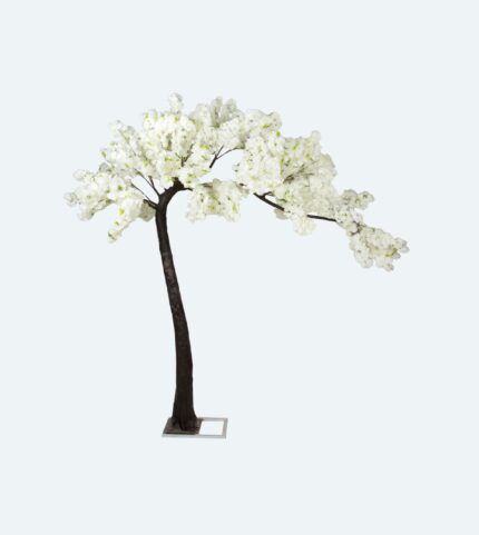WHITE BLOSSOM TREE