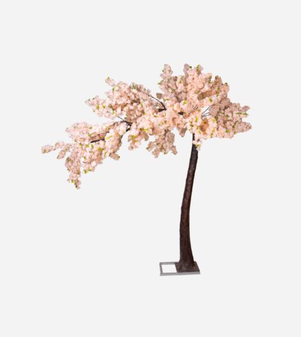 ARBRE JAPONAIS CHAMPAGNE