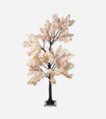 ARBRE CERISIER JAPONAIS CHAMPAGNE