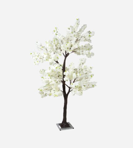 ARBRE CERISIER JAPONAIS BLANC